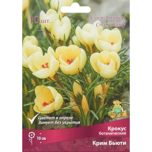 Крокус ботанический Крим бьюти луковица 5/7, 10 шт. 88294626 STLM-2127167