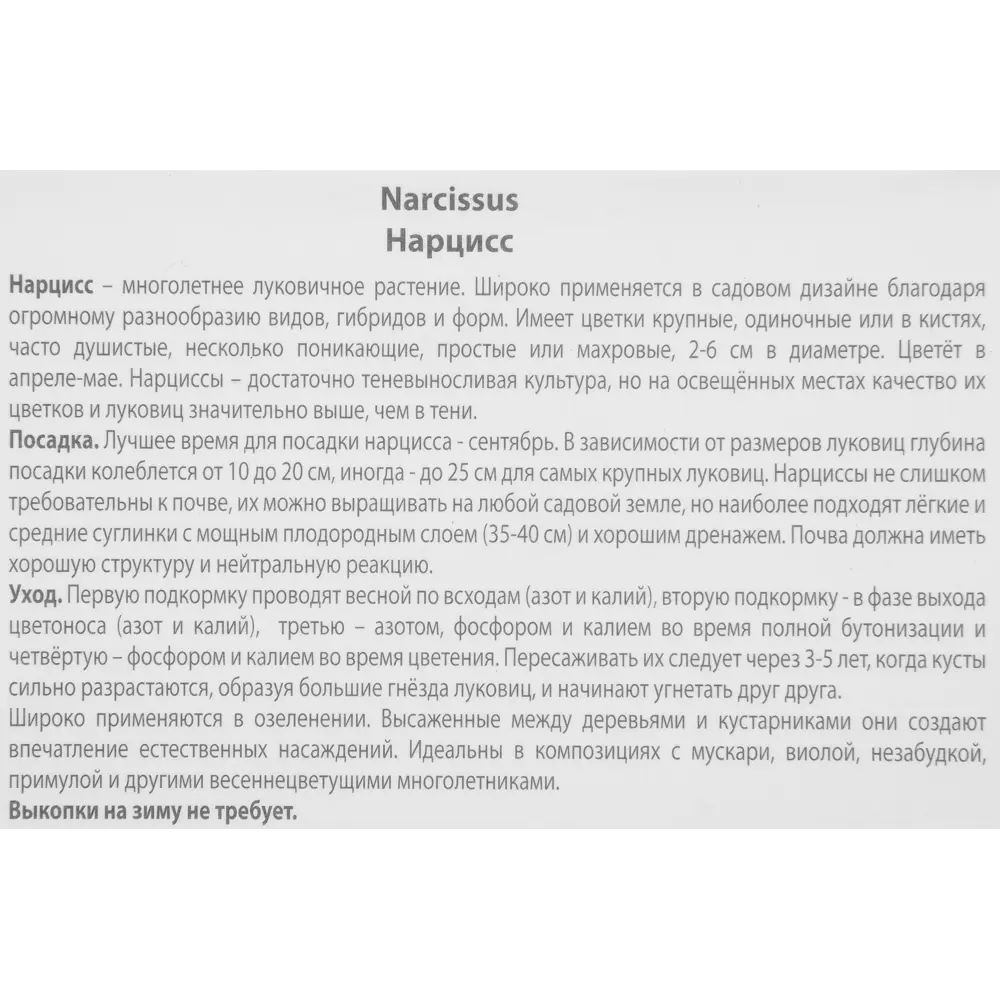 Нарцисс трубчатый Маунт-худ 10/12 3 шт 88294754 STLM-2020603 Santreyd  - Вид №2