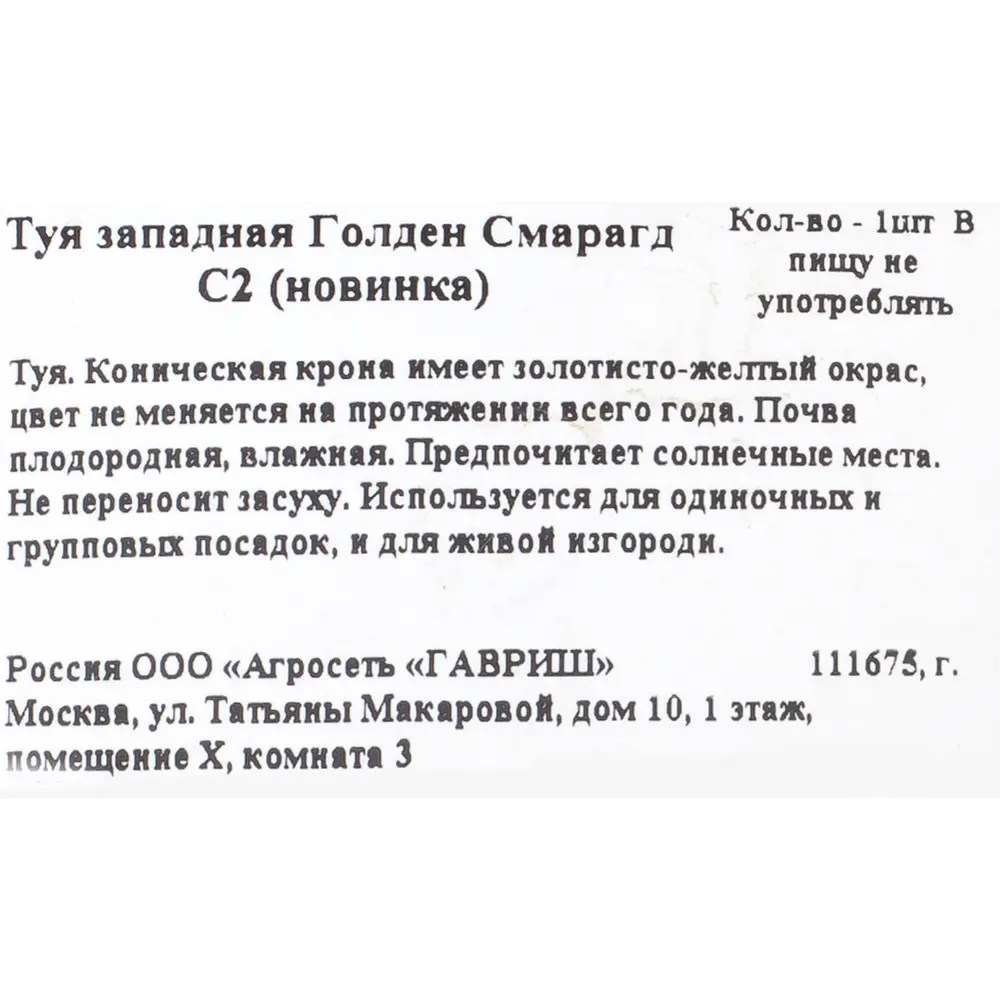Туя «Голден Смарагд», западная 18077209 STLM-2075242 Santreyd  - Вид №1