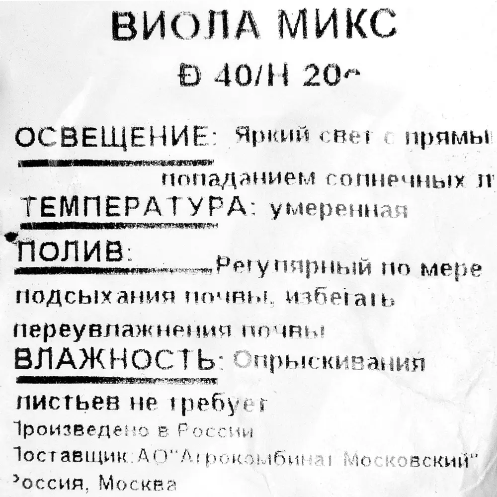 Виола Витрока 40 шт 82253948 STLM-2167368 Santreyd  - Вид №1