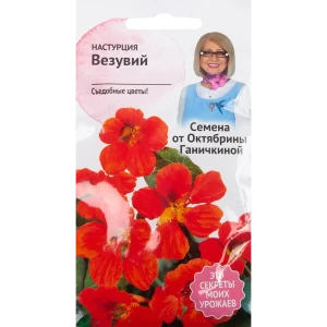 Настурция «Везувий» 2 г 82481626 STLM-2138057