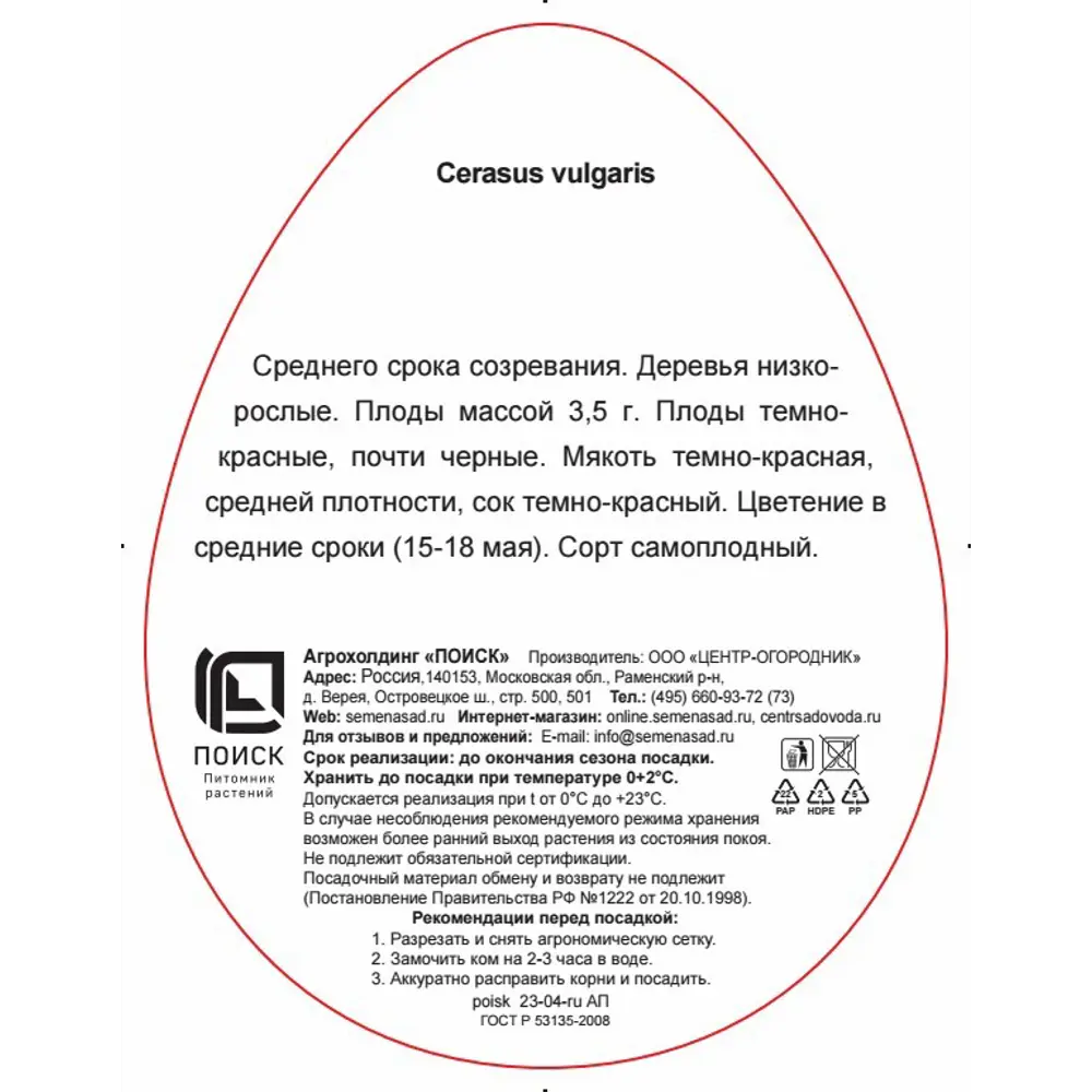 Вишня Шоколадница h220 см 83787992 STLM-2000323 Santreyd  - Вид №1