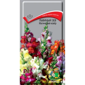 ПОИСК Львиный зев «Магический ковер» - яркий цветочный ковер для сада 83227385