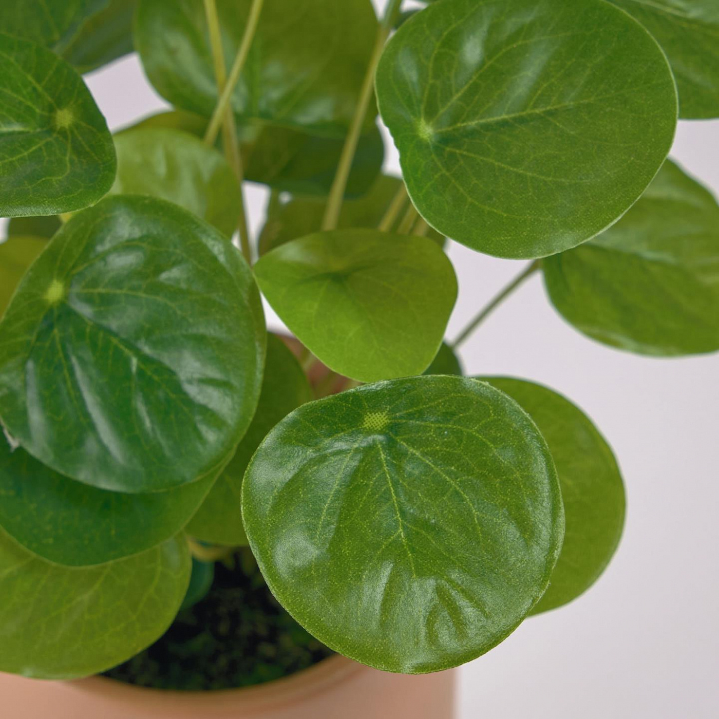 108495 Искусственное растение в розовом керамическом кашпо 21,6 см La Forma Bailey 