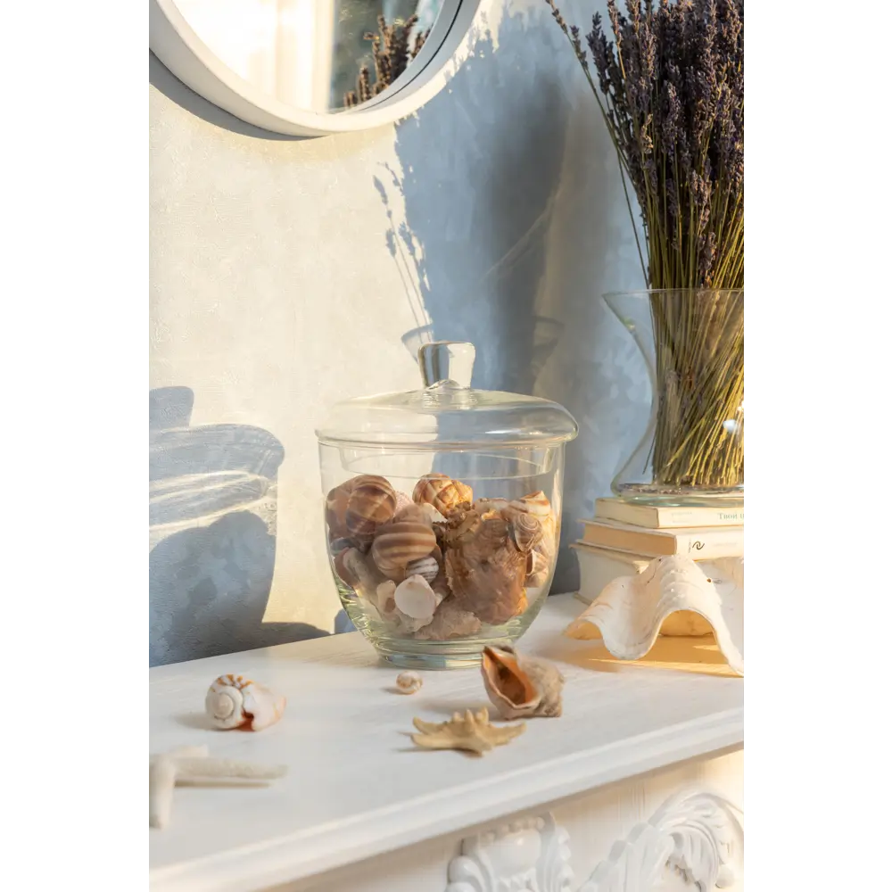 Ваза Santreyd «Мэри» — стеклянная с крышкой для декора и хранения 82554490 STLM-0029732 - Вид №1