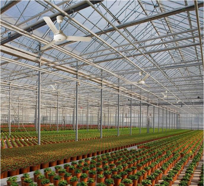 Vortice Потолочный вентилятор Nordik international plus 61744 - Вид №2