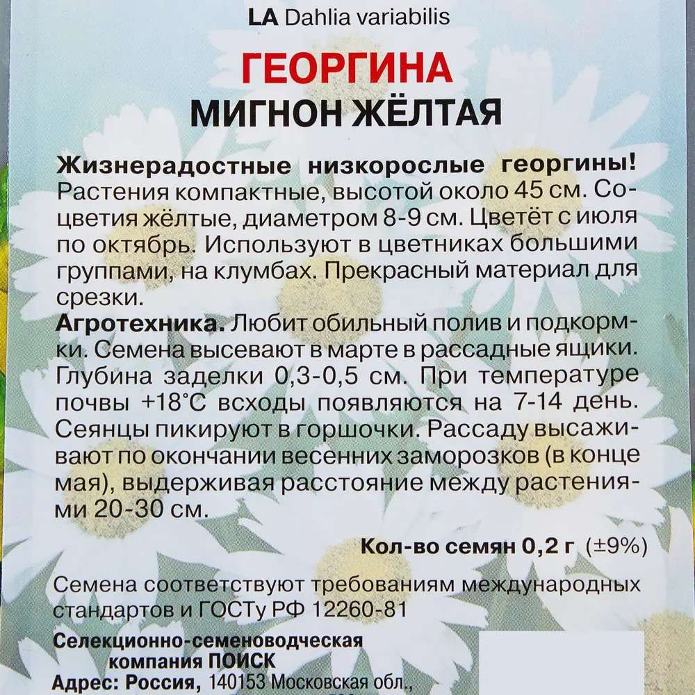 Георгина «Мигнон» цвет жёлтый ПОИСК STLM-2165502 - Вид №2