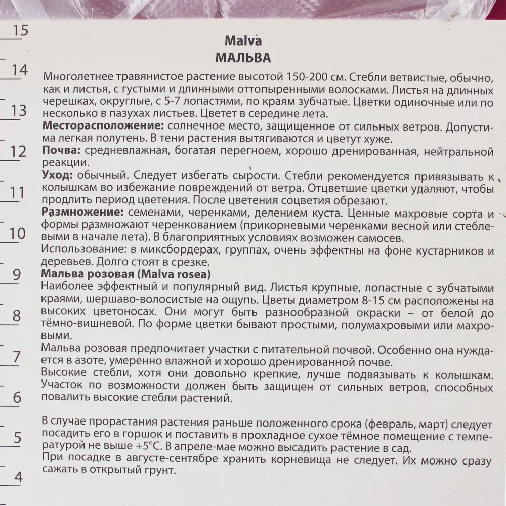 Мальва «Нигра» с капером цвет розовый 17536021 STLM-2142658 Santreyd  - Вид №2