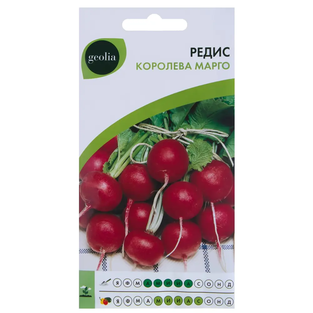 GEOLIA Редис Королева Марго — ранний сорт с нежным вкусом 17584946 STLM-0008337