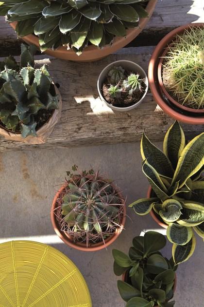 GAN Журнальный столик круглый из железа Aram sun-id-1369713 - Вид №5