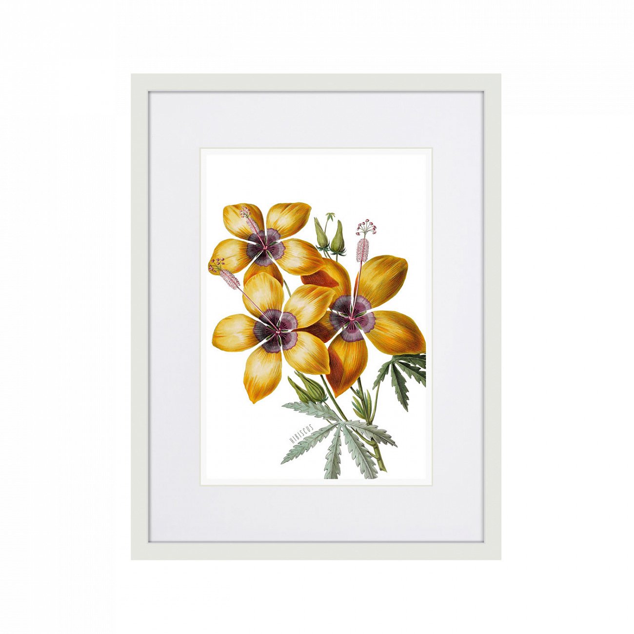Картина в раме 32х42 см Caribian Flora Yellow Hibiscus, 1740г. КАРТИНЫ В КВАРТИРУ  264449 Желтый;зеленый;разноцветный  - Вид №1