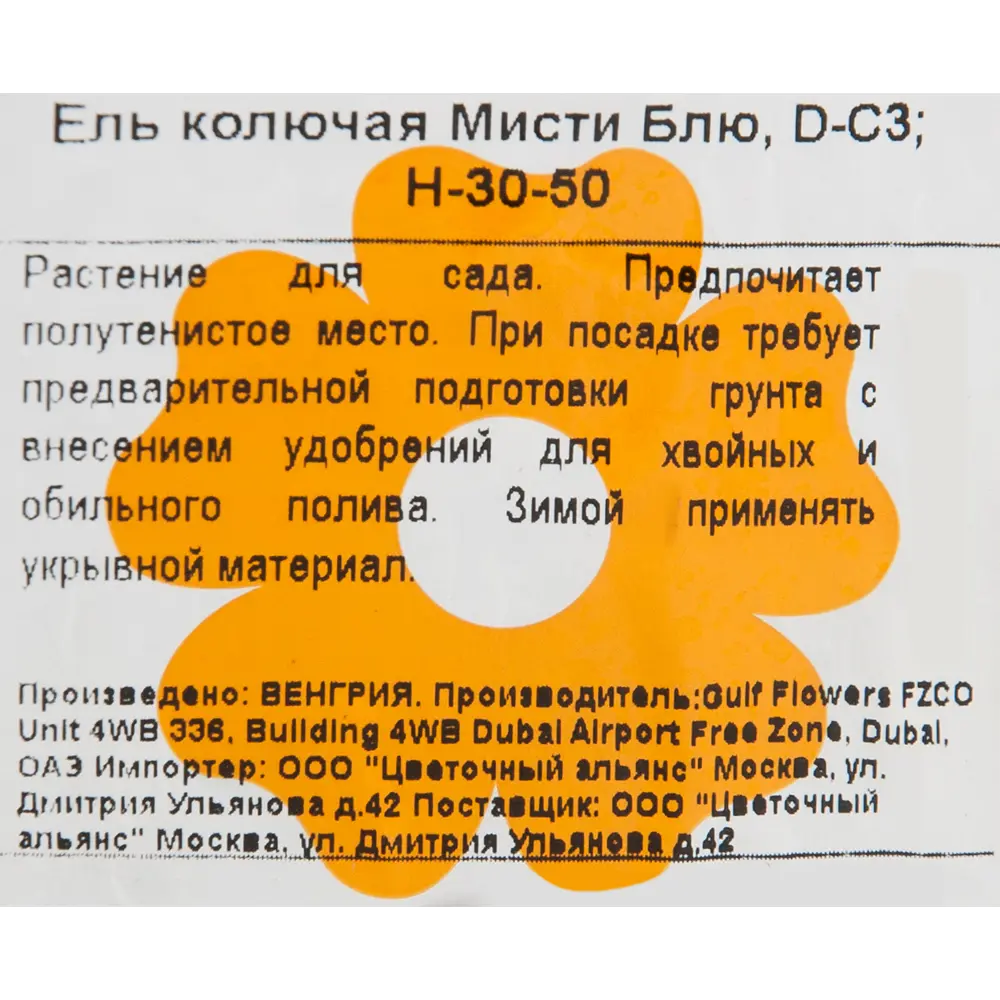 Ель колючая «Мисти Блю» 19x40 см 82601619 STLM-2176496 Santreyd  - Вид №1