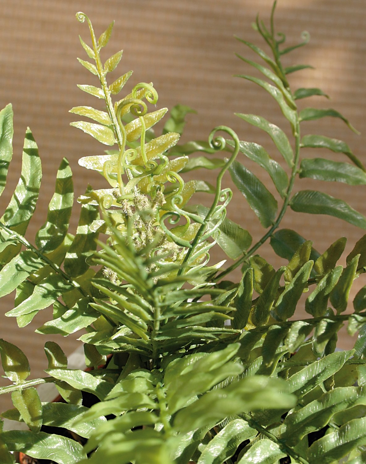 5198 883 a3 Искусственный папоротник, 25 см, зеленый H-andreas  - Вид №1