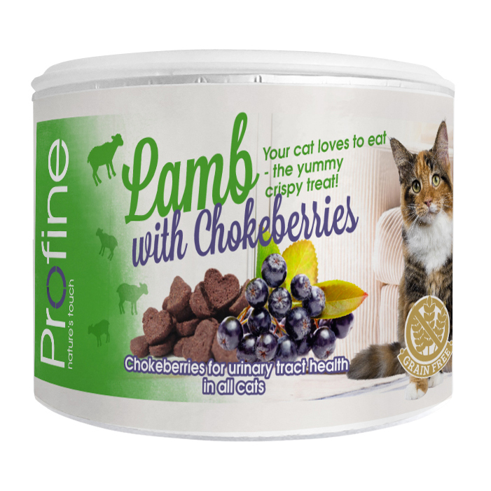 ПР0045642 Лакомство для кошек Хрустящее печенье беззерновое с ягненком и черноплодной рябиной 50г PROFINE 