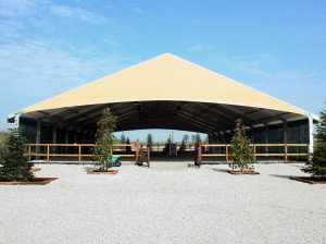 Чехлы для ручек