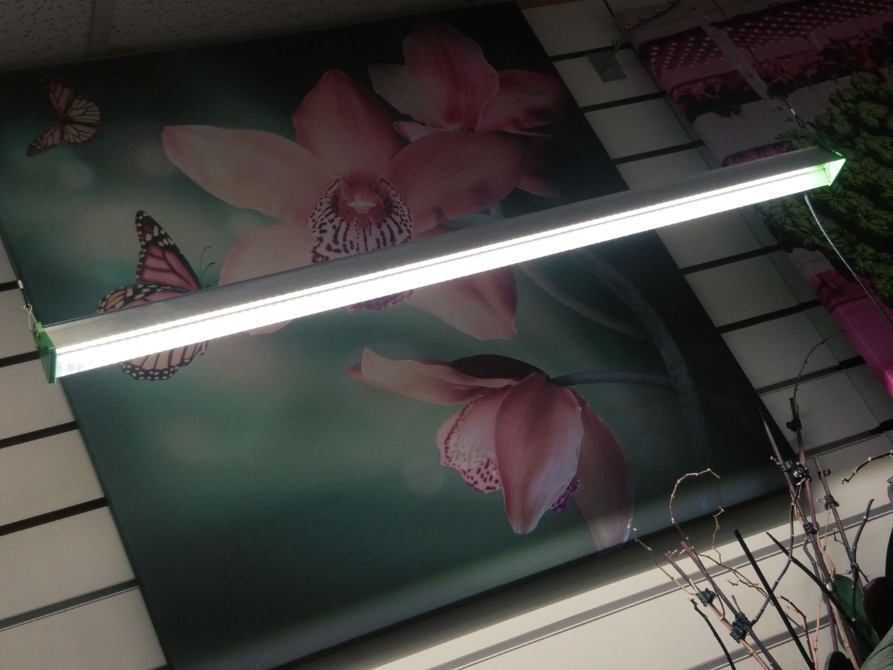 1121 Фитолампа для растений 40 Ватт. Длина 80 см LAB.Space  - Вид №9