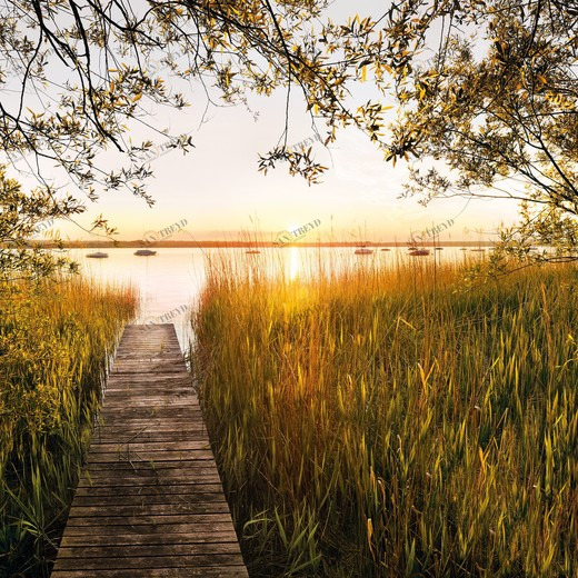 XXL4-052-Lakeside Фотообои Komar Into Illusions Edition 2 2.48х3.68 м XXL4052LAKESIDE