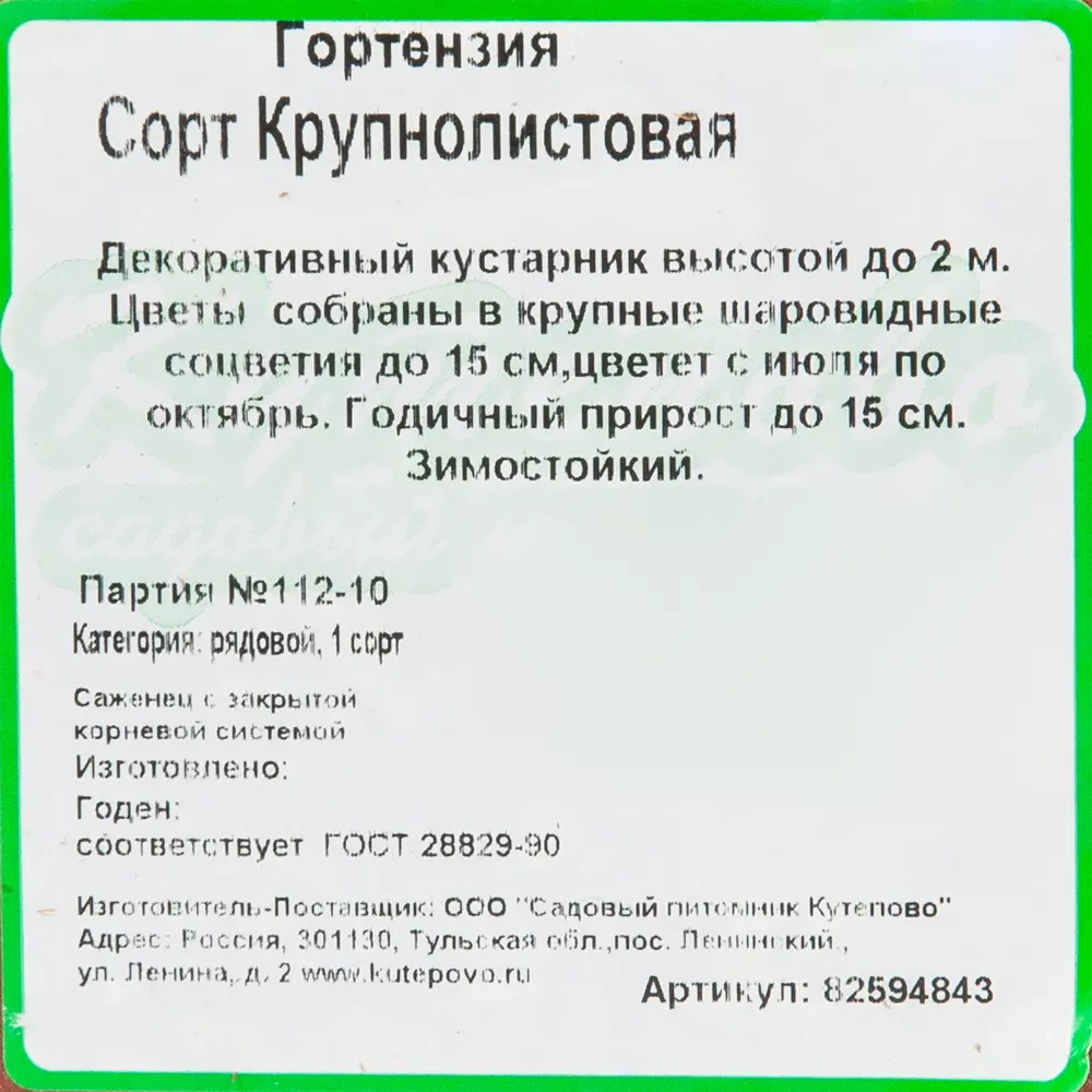 Гортензия крупнолистная 15x20 см 82594843 STLM-2113558 Santreyd  - Вид №1