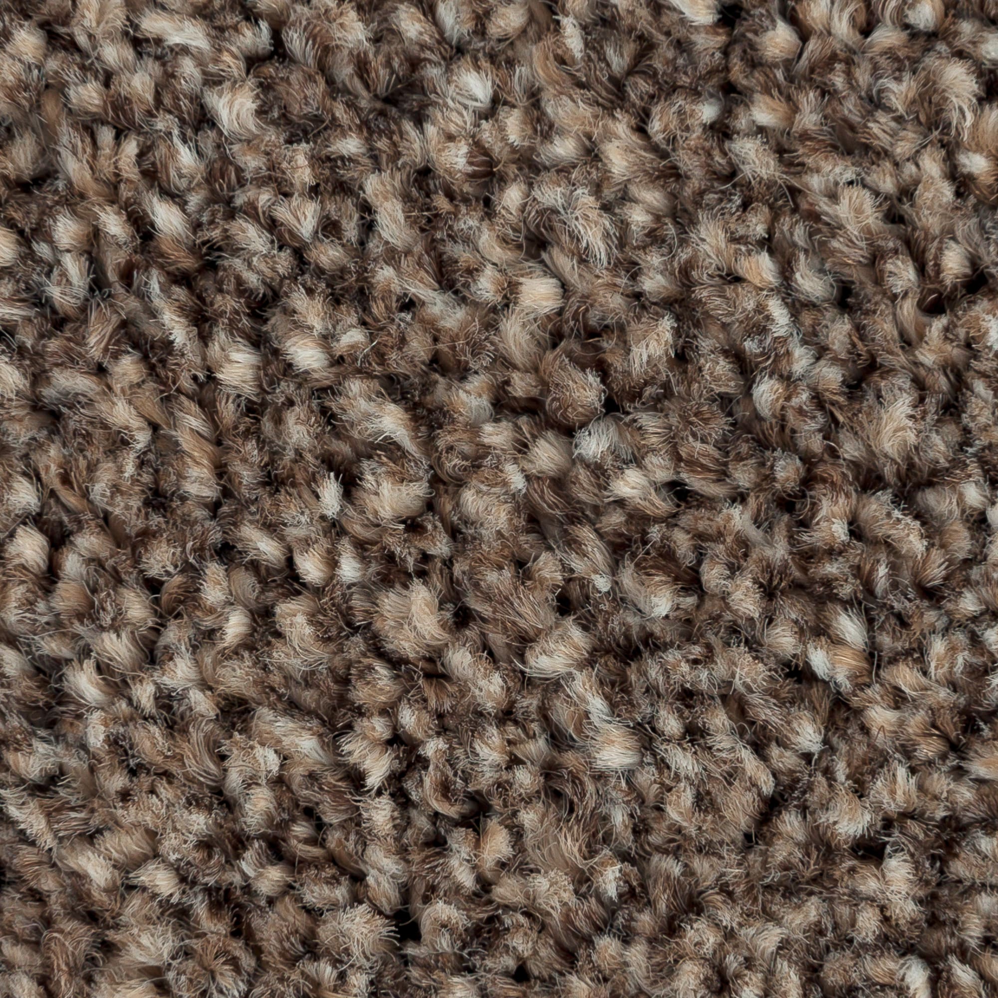 81967241 Ковровое покрытие ворсистое «Парадиз 570» ворсовое 3 м цвет капучино Santreyd  - Вид №1