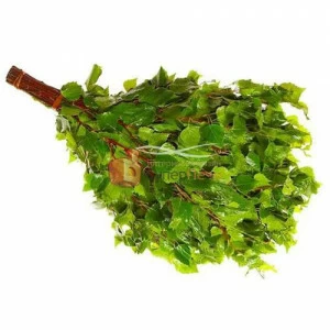 Березовый веник для бани