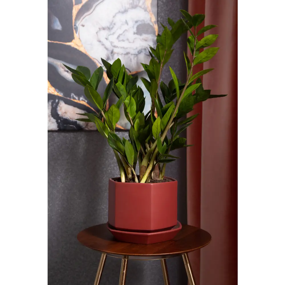 Горшок цветочный Goncar Меркурий 11x13.5x11 см v1 л керамика бордовый 82126331 STLM-2041376 GONCHAR  - Вид №2