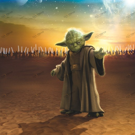 4-442-STAR-WARS-Master-Yoda Фотообои Komar Disney 2.54х1.84 м 4442STARWARSMASTERYODA
