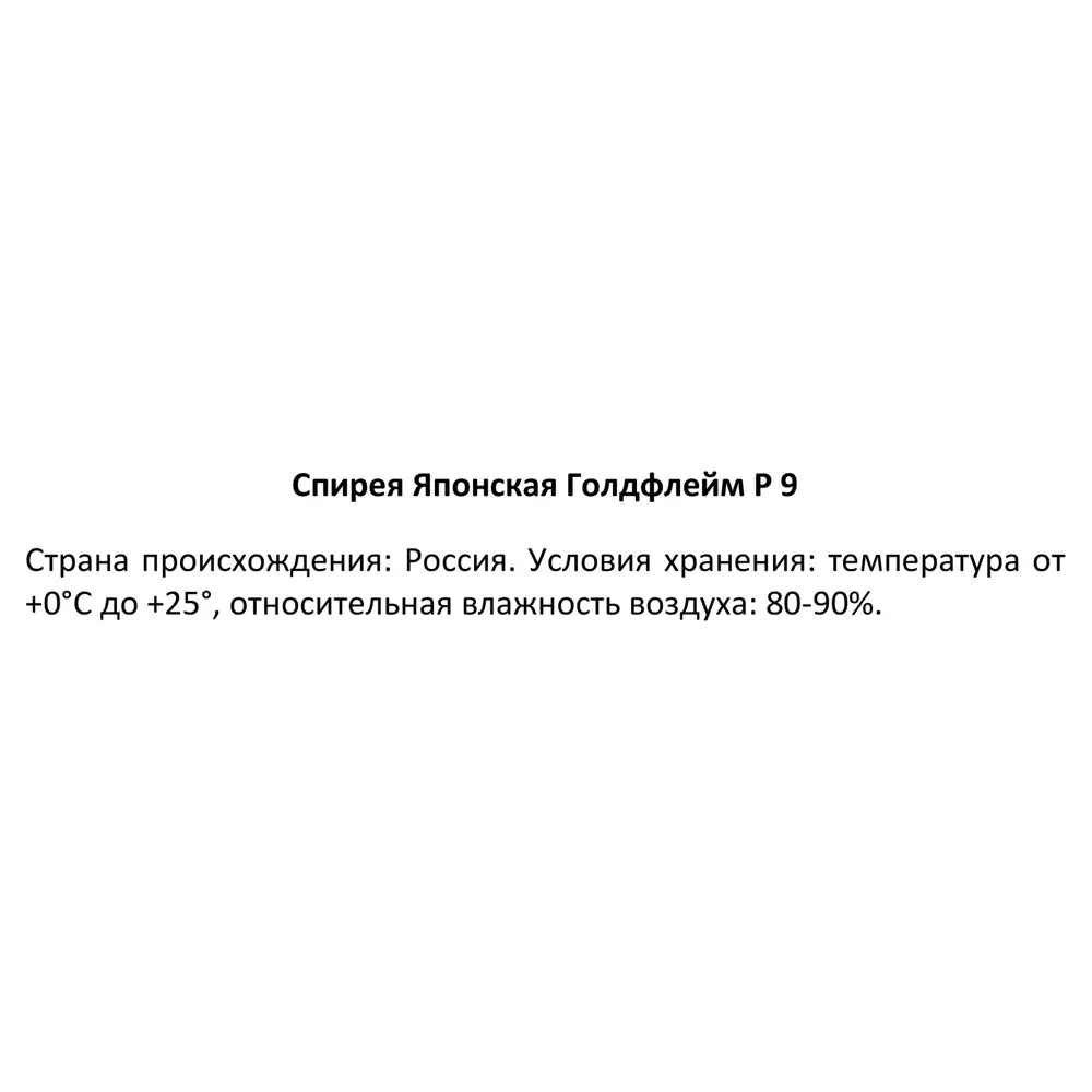 Спирея японская Голдфлейм ø9 h30 см 89364980 STLM-2058959 Santreyd  - Вид №3