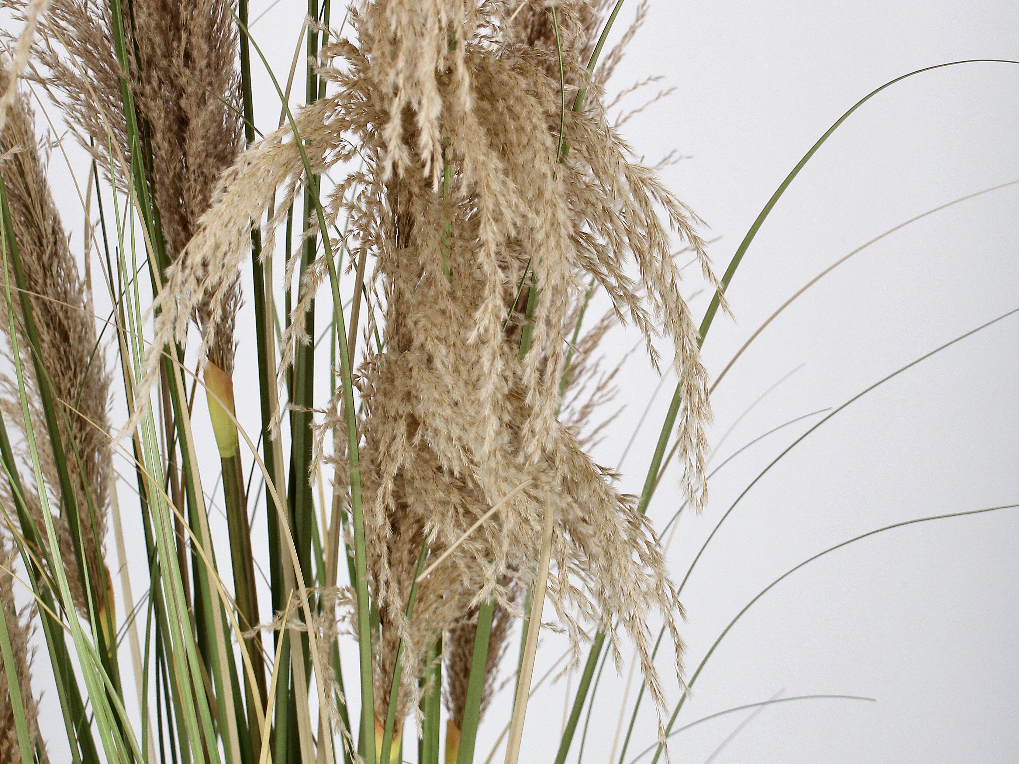 Искусственное растение BIZZOTTO AUSTORDERIA PAMPAS H145 ARCH-00071190 - Вид №1
