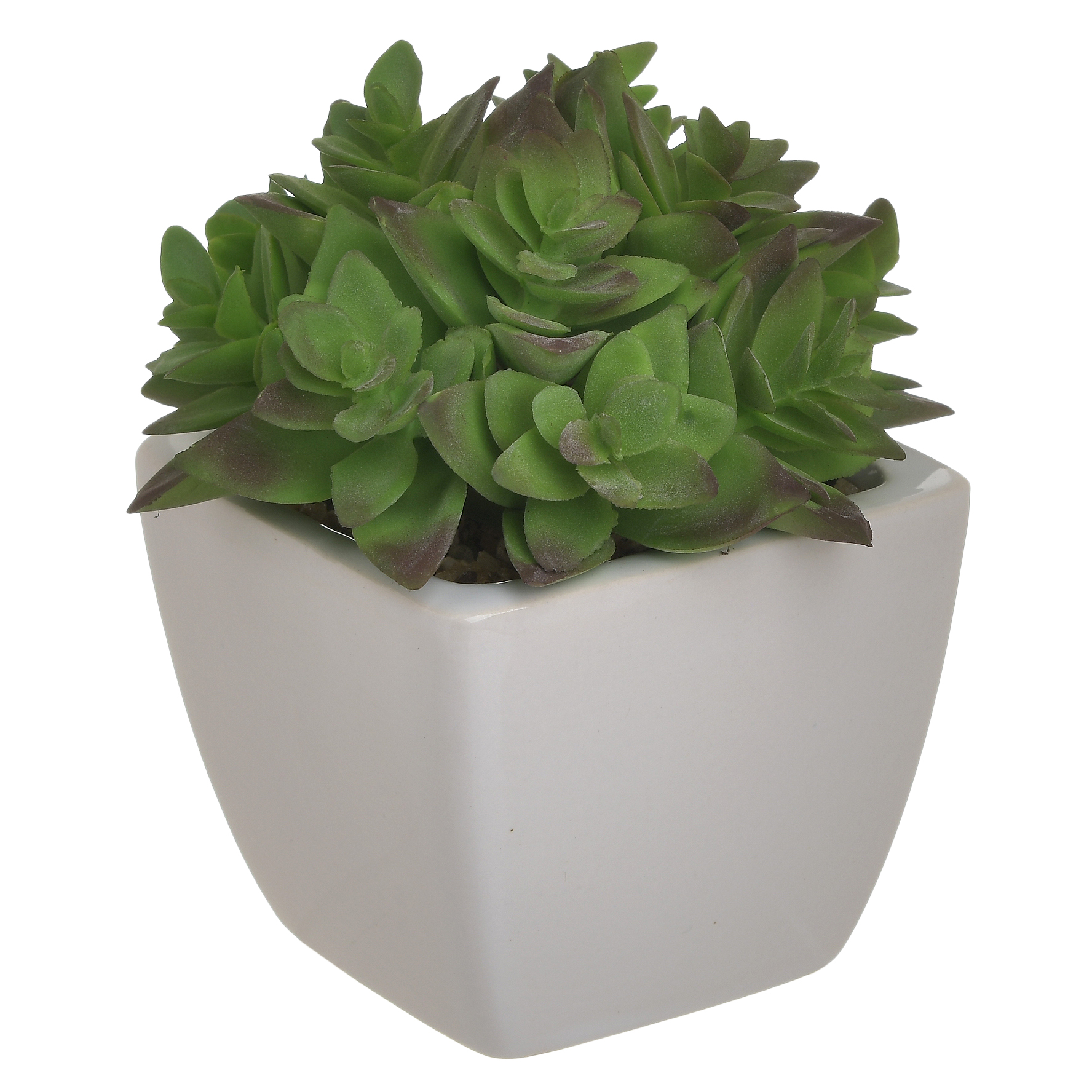 3885084.0103 ИСКУССТВЕННЫЙ ЦВЕТОК В КАШПО TO4ROOMS  - Вид №1