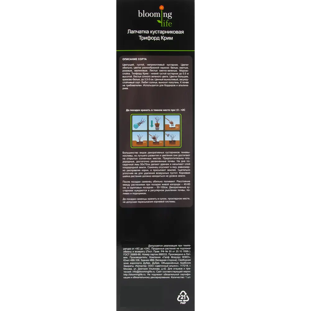 Лапчатка кустарниковый Трифорд Крим в тубе 82539530 STLM-2159198 BLOOMING LIFE  - Вид №2