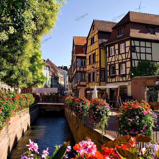 B1-021 Фотообои DIVINO Collection B 2.7х3 м B1021