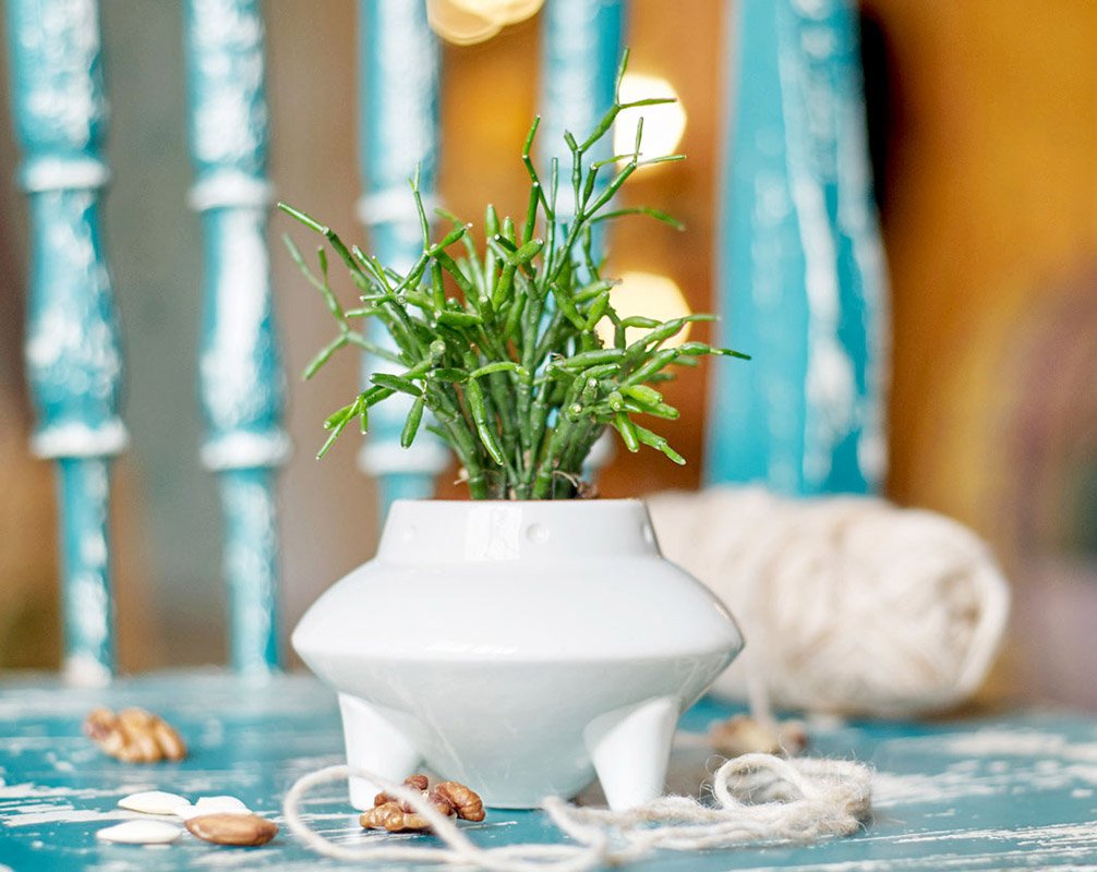 Набор для выращивания eco "НЛО" ЭКОЧЕЛОВЕКИ  254578 Белый  - Вид №1