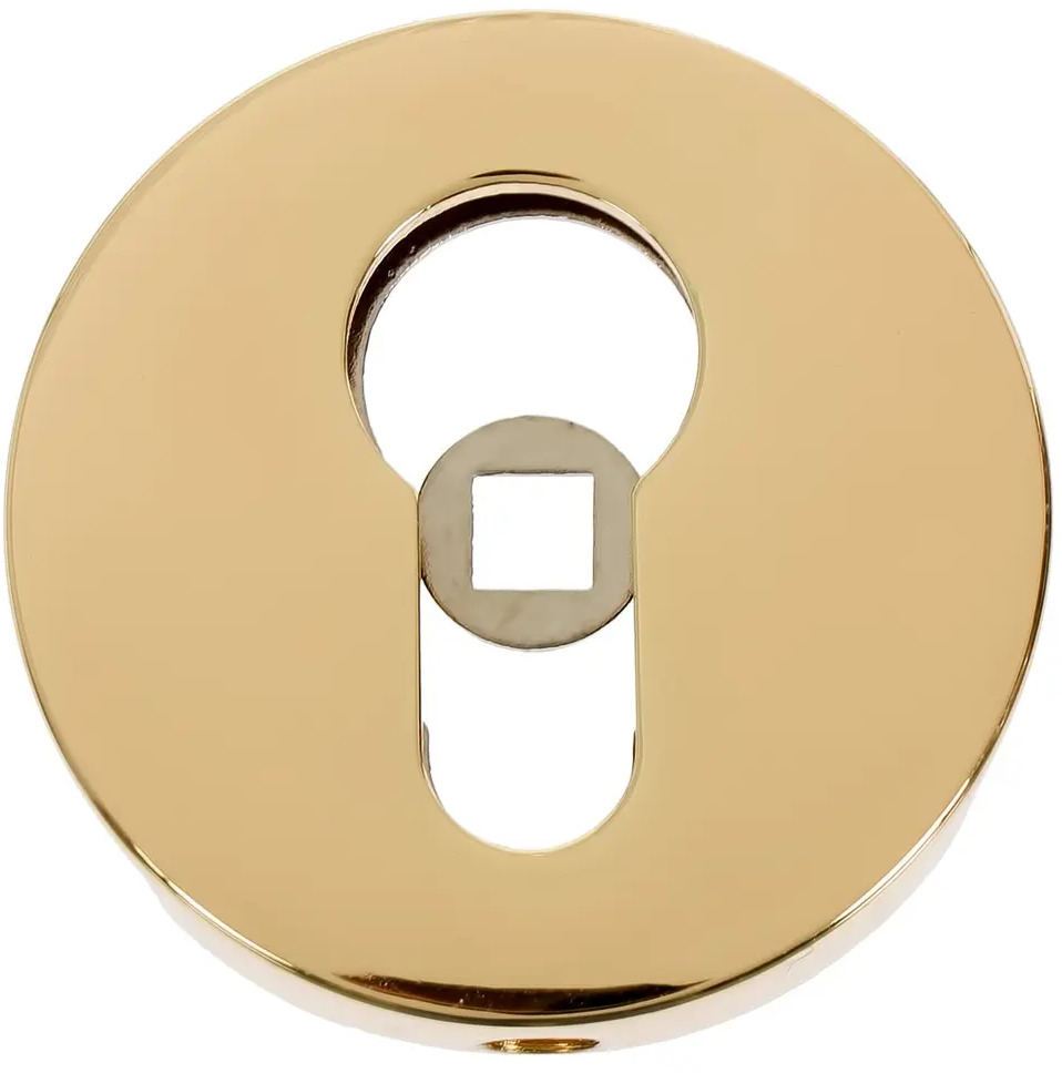 18764586 Накладка под цилиндр ET URB/HD GOLD-24, цвет золото, 24 2 шт. STLM-0012558