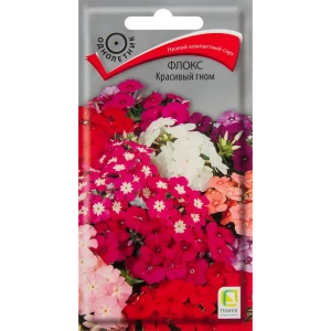 Флокс Красивый гном 0.2 г