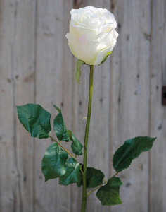 3256 705 a3 Ложная роза Duchesse, 85 см, бело-розовая H-andreas