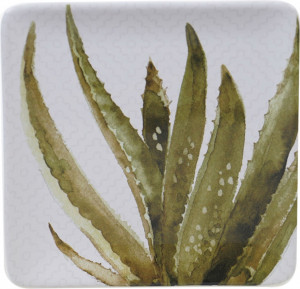 10641610 Certified International Тарелка закусочная Certified Int. Кактусы.Алоэ 22см, керамика Керамика