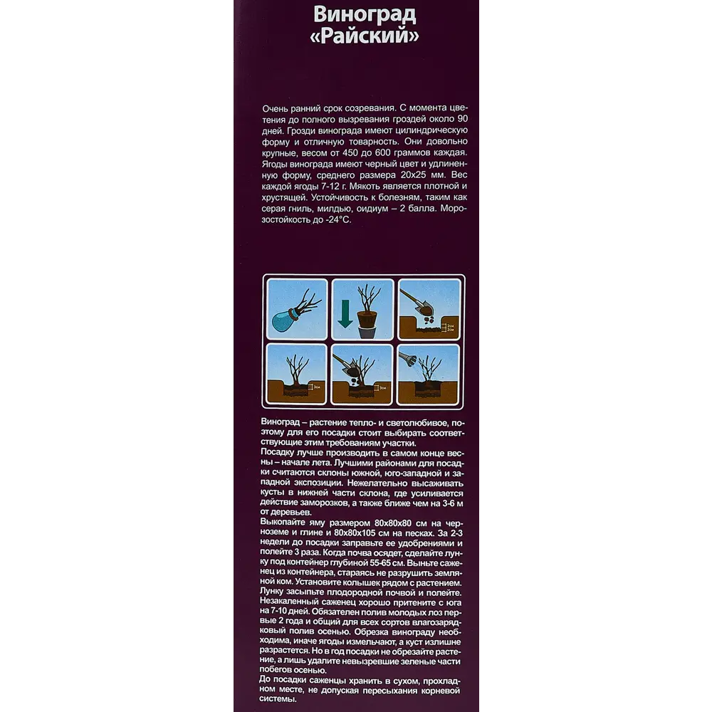 Виноград микс туба h36 см 89353013 STLM-2106477 Santreyd  - Вид №3
