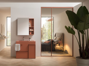 Моноблок и потолочный вход