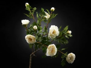 VGnewtrend Искусственное растение из полиэстера  1001651.95