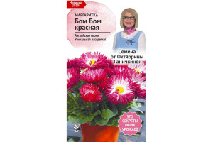 19489968 Семена Маргаритка Бом Бом красная, 10 шт. 121252 ОКТЯБРИНА ГАНИЧКИНА