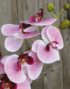 2853 510 a3 Искусственная орхидея Phalaenopsis, 106 см, real touch soft, роза H-andreas