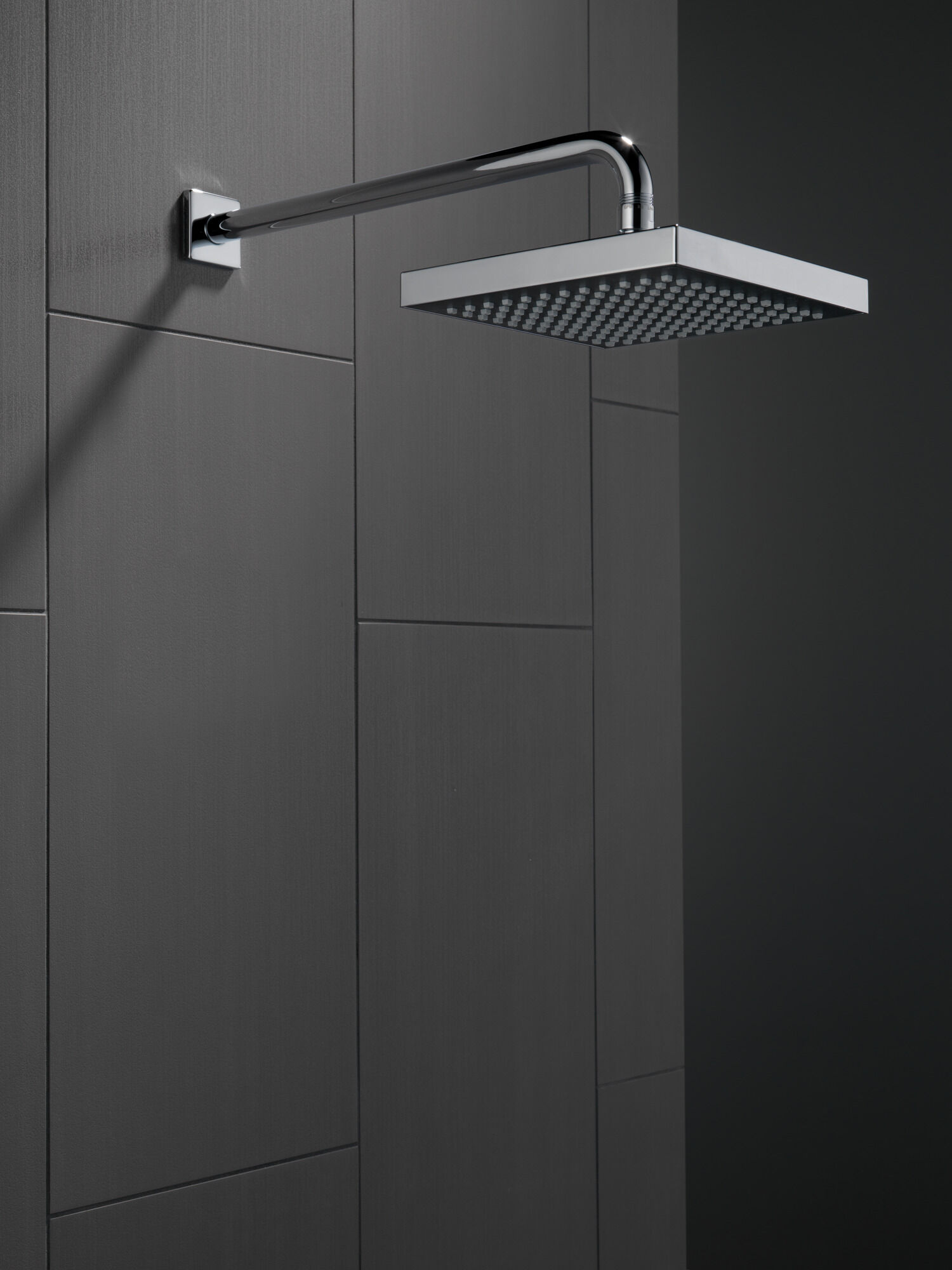 RP50841 Душевая лейка Raincan с одинарной настройкой Delta Faucet Universal Showering Хром  - Вид №2