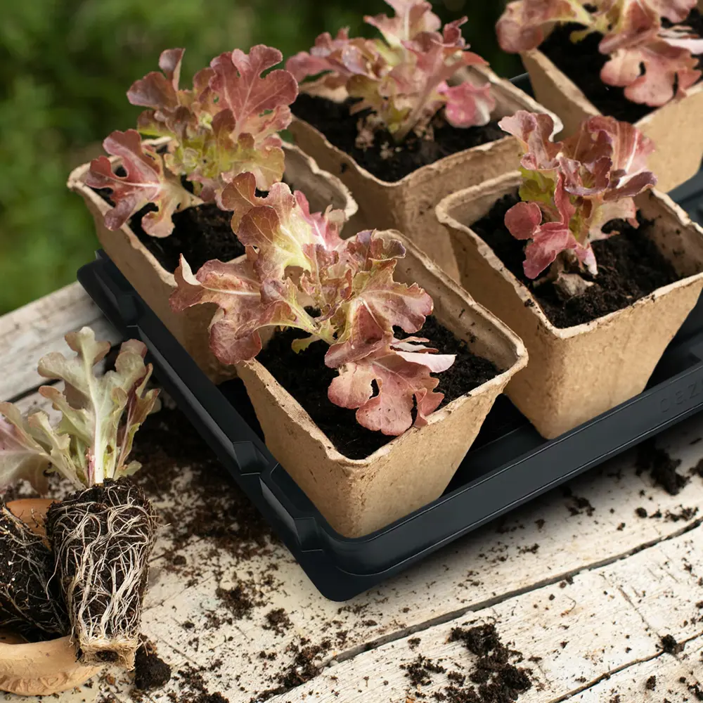 Поддон под кассету Газонcity полистирол 28-54 ячейки STLM-2081541 - Вид №4