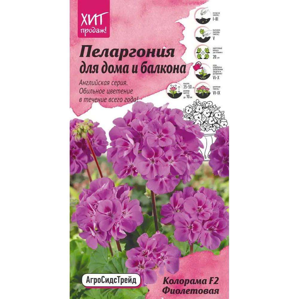 Пеларгония «Колорама» фиолетовая F2 АГРОСИДСТРЕЙД STLM-2121487