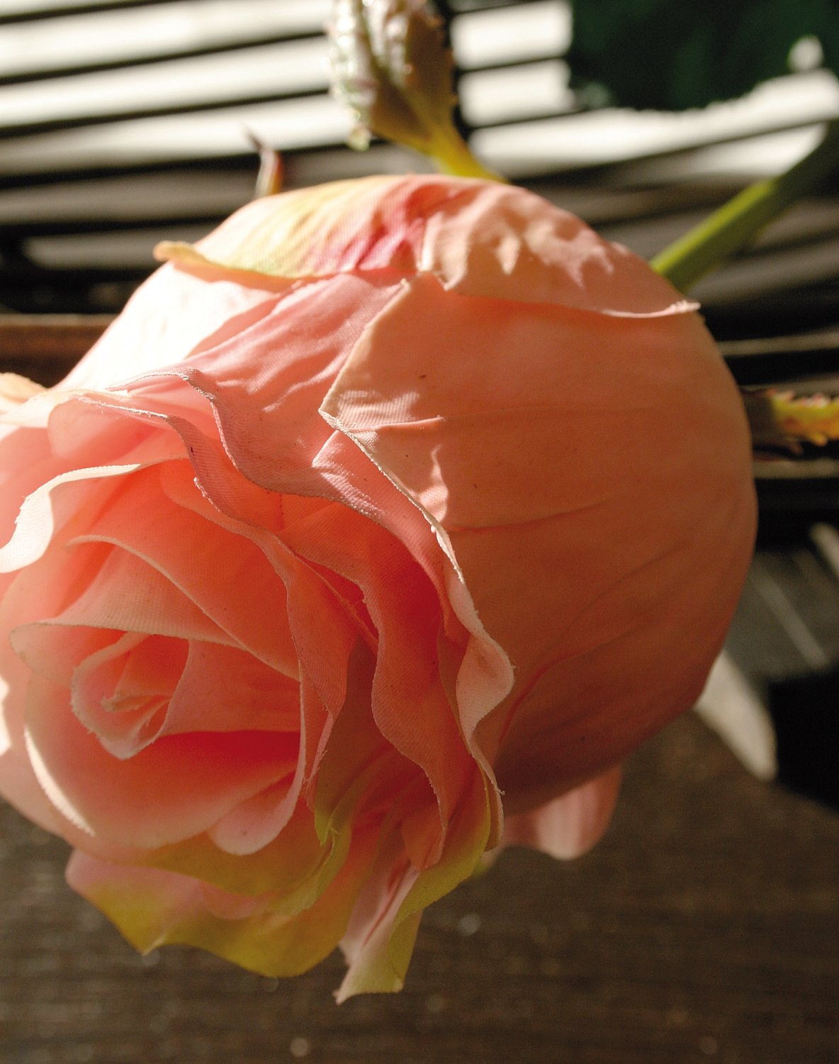 3180 553 a2 Синтетическая роза, 76 см, real touch, абрикос H-andreas  - Вид №1