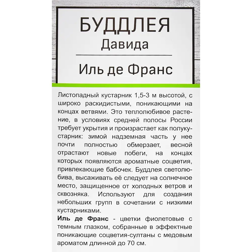 Буддлея Давида Иль де Франс 82527694 STLM-2120705 Santreyd  - Вид №2