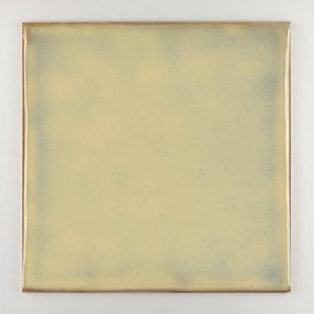 Пол / покрытие ручной работы La Riggiola одноцветный ARCH-00001010 - Вид №6