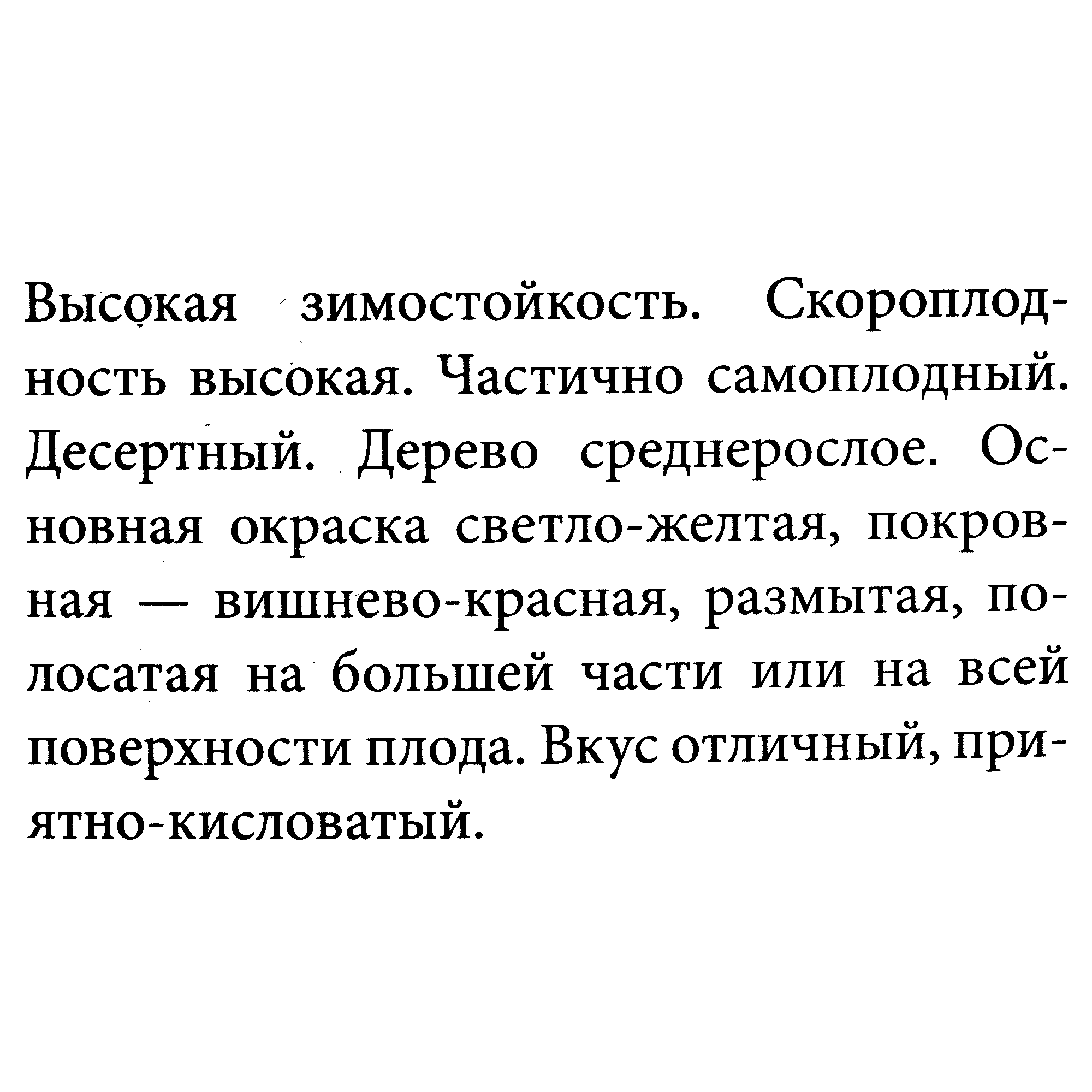 18313734 Яблоня «Уэлси», пакет Santreyd  - Вид №2