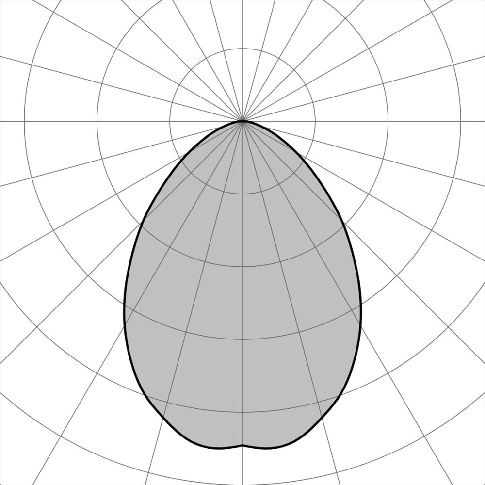 Spia R RD Ghidini Spia RD .15 Нержавеющая Сталь  - Вид №3