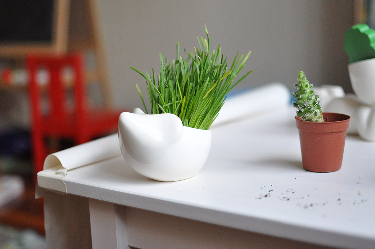 Набор для выращивания Eco Ёжик ЭКОЧЕЛОВЕКИ 3001 - Вид №1